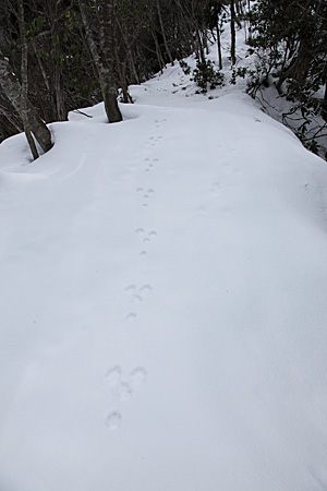 e0113053_22593146.jpg