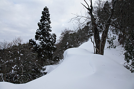 e0113053_2305483.jpg