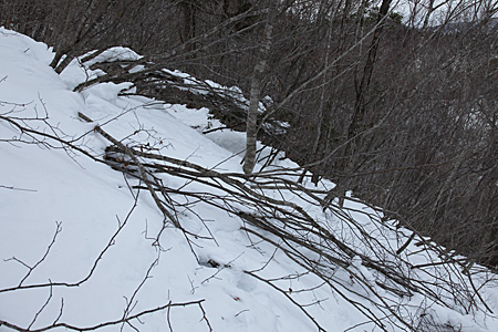 e0113053_2322234.jpg