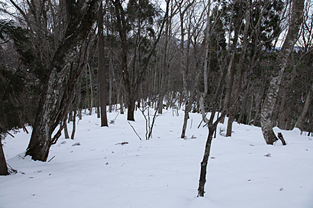 e0113053_232637.jpg