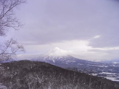 a0004359_029847.jpg