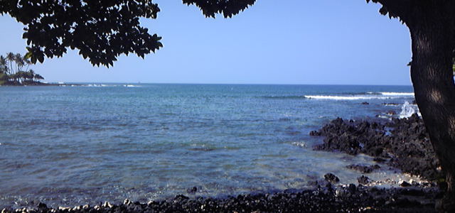 f0019063_113505.jpg