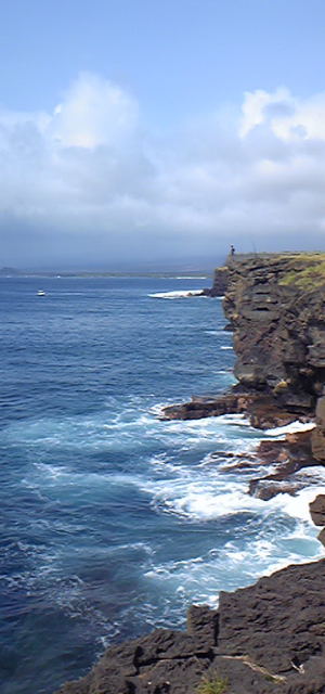 f0019063_1151947.jpg