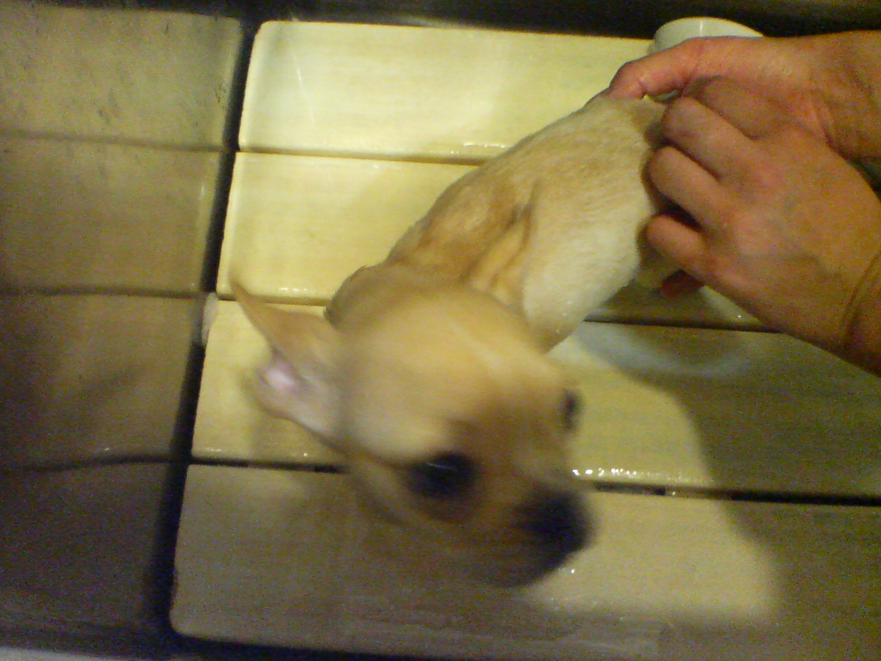 c0185468_1982287.jpg