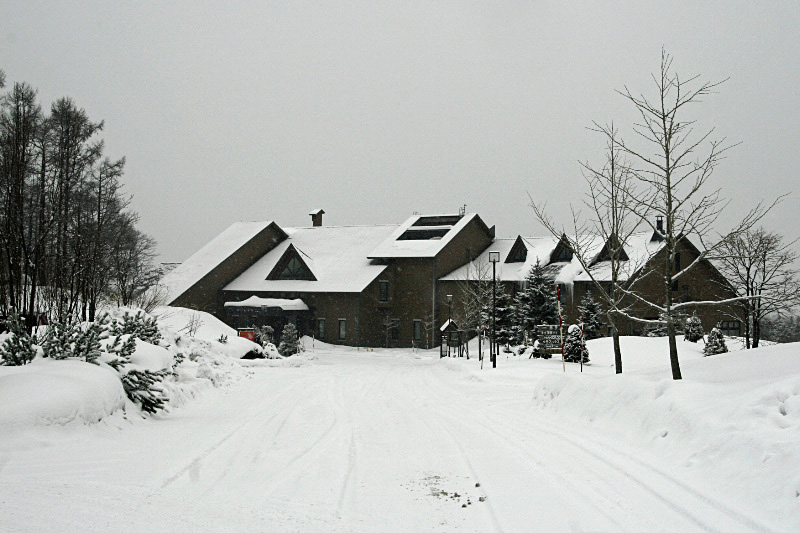 e0100772_225542.jpg