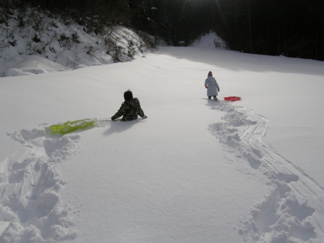 d0134473_184457.jpg