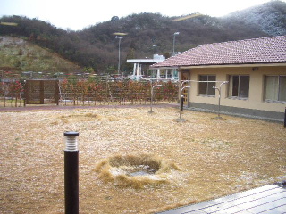 d0064175_94456.jpg