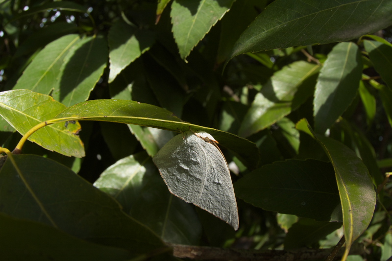 f0090680_2274130.jpg