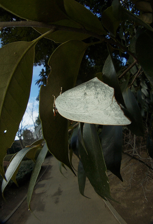 f0090680_2275997.jpg