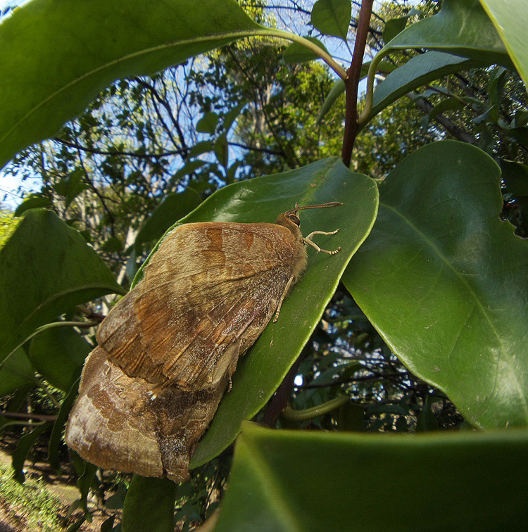 f0090680_227757.jpg