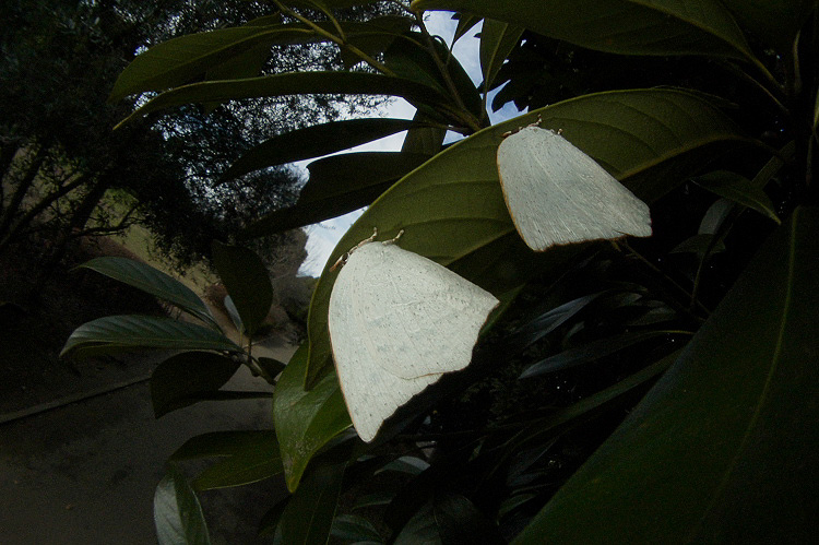 f0090680_2281739.jpg