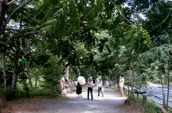 c0009981_10523570.jpg