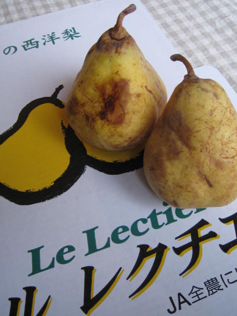 a0100488_15342858.jpg