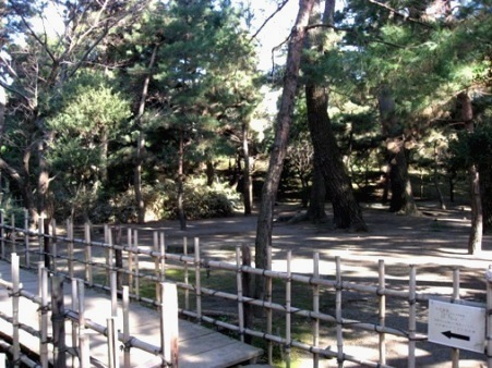 e0143690_22262910.jpg