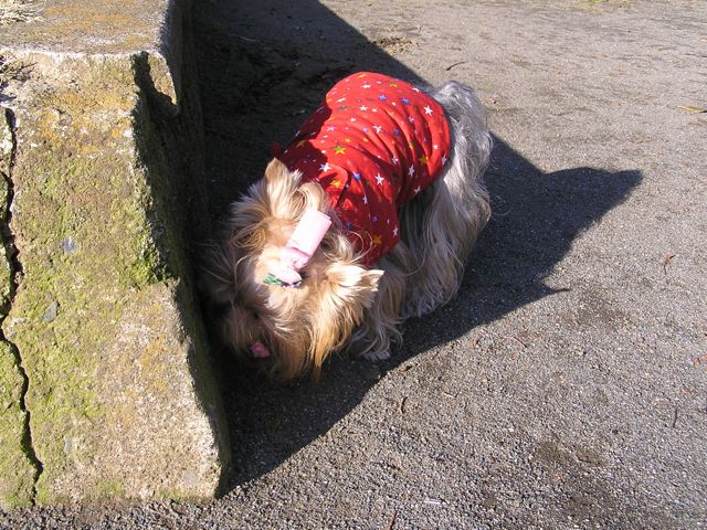 f0130894_18144511.jpg