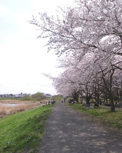 e0043700_1212777.jpg