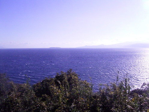 e0043700_1310745.jpg