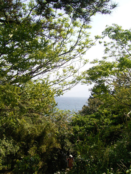 e0043700_18424896.jpg