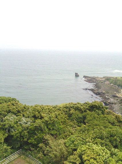 e0043700_1883561.jpg