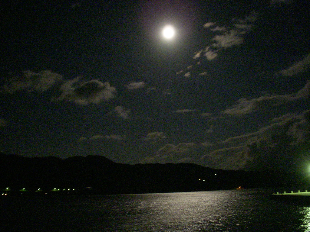 c0068901_22111549.jpg