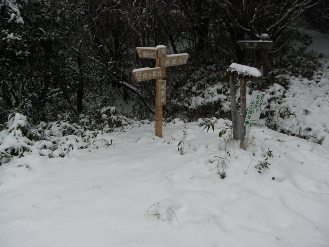 f0187402_10573164.jpg