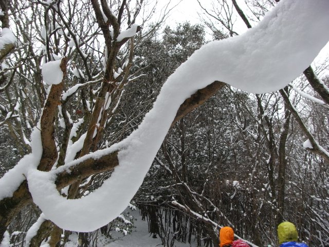 f0187402_10575768.jpg