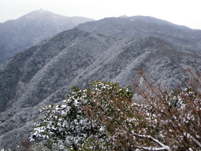 f0187402_110348.jpg