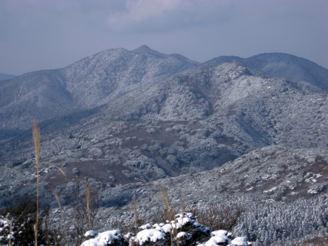 f0187402_110625.jpg