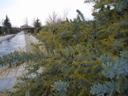 f0065604_20114289.jpg
