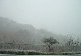 c0148705_22435848.jpg