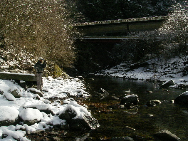 d0126708_101541.jpg