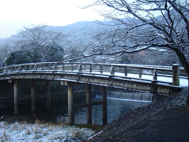 f0173908_8411769.jpg