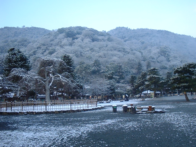 f0173908_842763.jpg