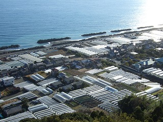 f0129610_22362898.jpg