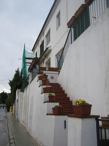 b0064411_25322.jpg