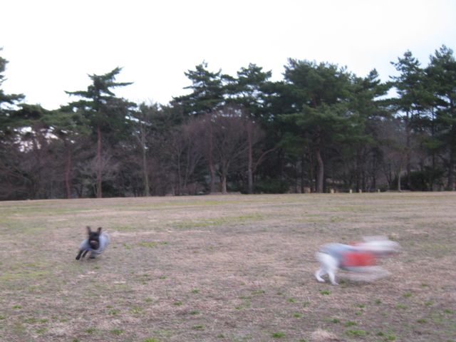 b0143214_0134283.jpg