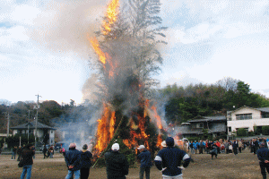 e0125014_6154137.gif