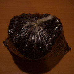 c0036617_74546.jpg