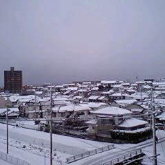 c0036617_7454649.jpg