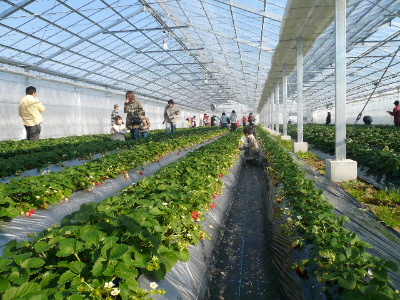 e0107122_13392570.jpg