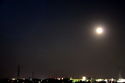 c0001023_1929448.jpg