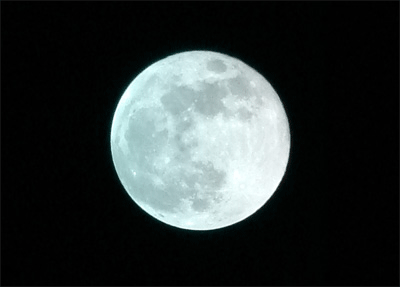 d0002224_15283893.gif