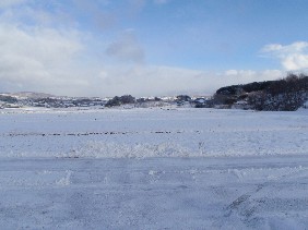 f0022024_933552.jpg