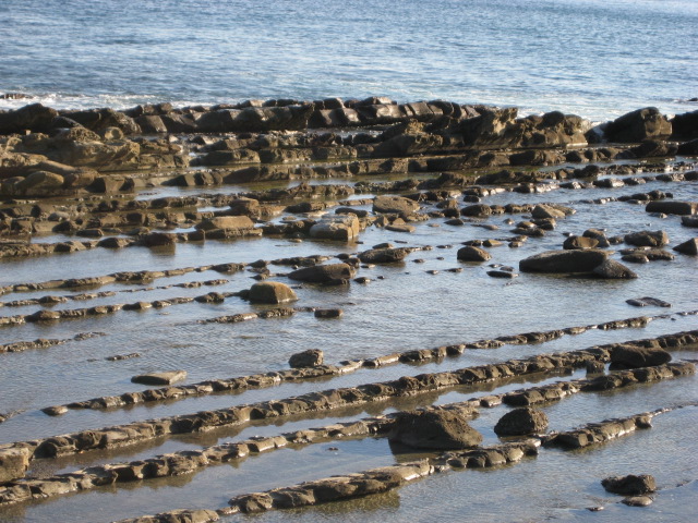 d0147727_18562718.jpg