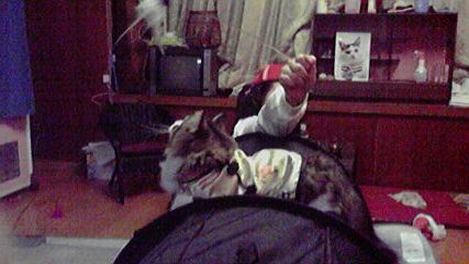 a0090729_21274121.jpg