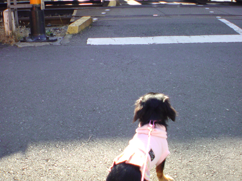c0117831_19481841.jpg