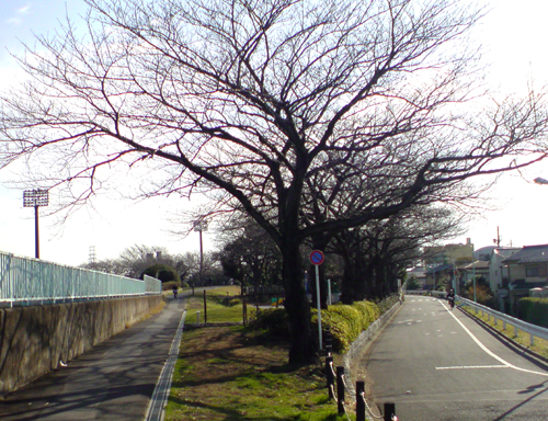 c0117831_19585459.jpg