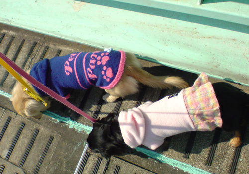 c0117831_2010236.jpg