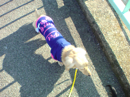 c0117831_206739.jpg