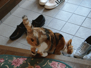 c0136736_1943581.gif